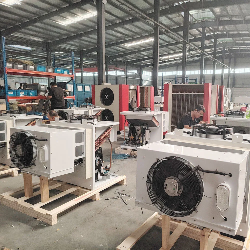 China Outdoor Exporting American Cold Storage Wall Mounted Refrigeration Equipment Freezer Mono block Refrigeration Condensing