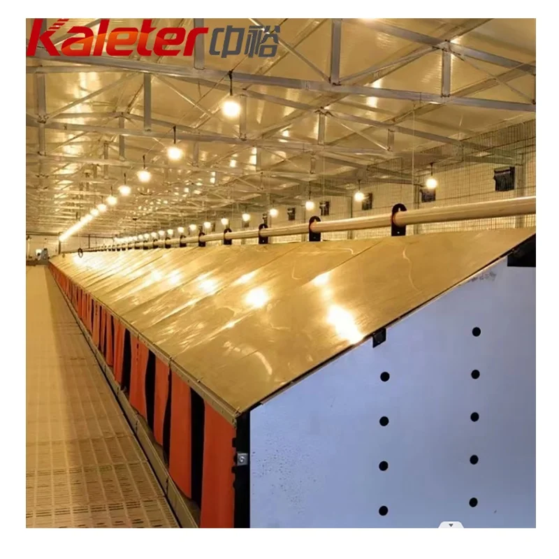 Kaleter лидер продаж большое автомобильное отверстие куриное яйцо по заводской цене