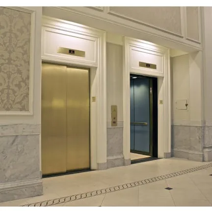 Modern Design Indoor Home Elevator for Residential Use Cheap AC & Hydraulic Drive Safe for Villa Hotel & Supermarket Use