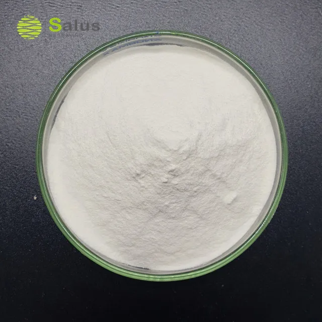 Top Quality Lactobacillus Paracasei