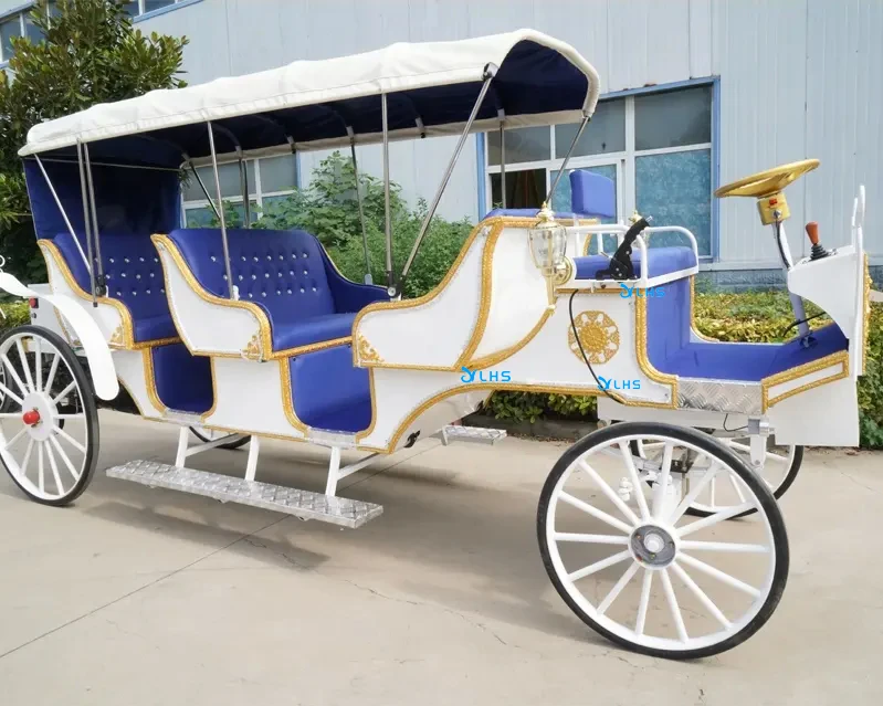6 passenger royal horse carriage deluxe pumpkin carriage buggy drivable sightseeing horse buggy for bride wedding