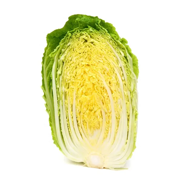 Fresh Celery Cabbage