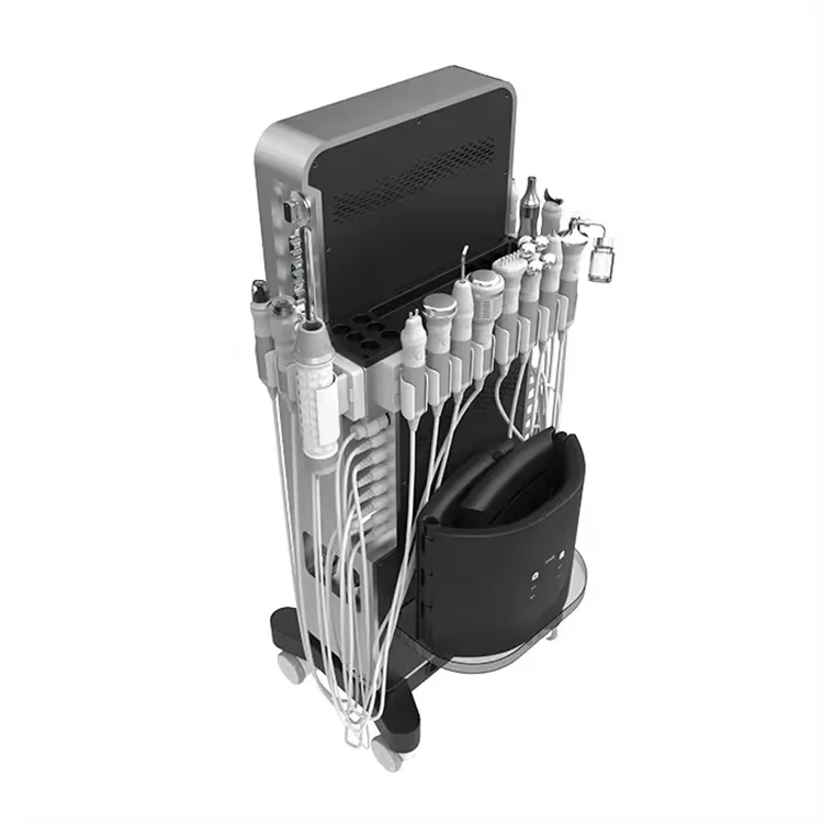 17 In 1 Facial Machine 2024 Hydra Oxygen Equip Factory OEM Diamond Microdermabrasion Aqua Peel Hydro Skin Machine Manufacturer