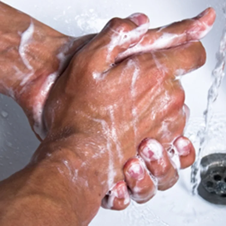 Private Label Hand Made Soap Organic Anti-Bacteria Hand Liquid Soap