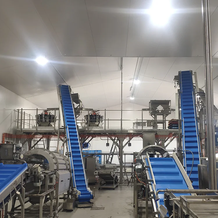 Large Capacity Extruder Machine Pet Dog Chews Snack Food Making Machinery