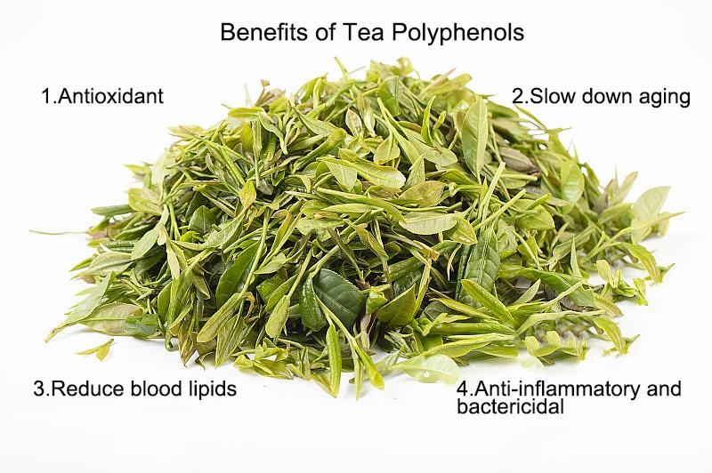 Free Brand Soluble Organic Instant Green Tea Extract Powder Wholesale Bulk Organic Green Tea Herbal Extract