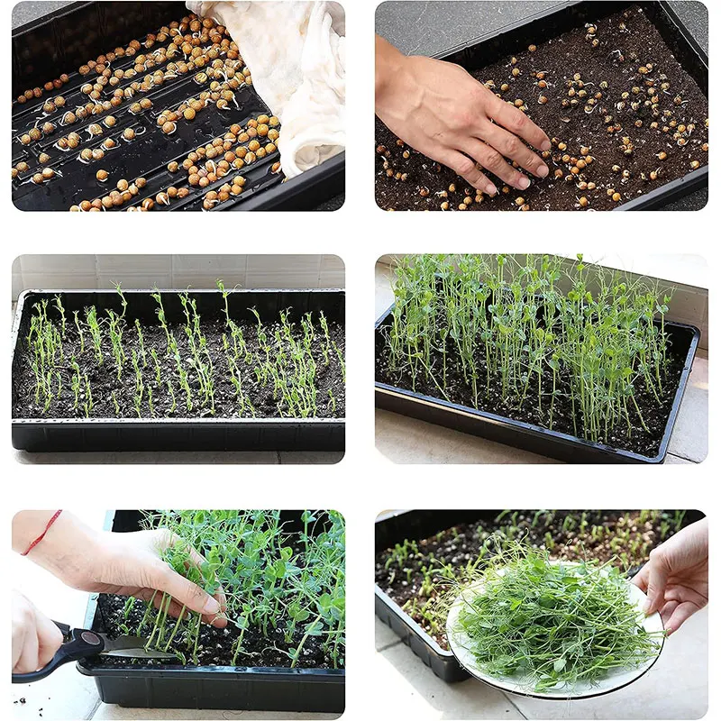 Customized Plant Growing Trays Factory Price Plastic 1020 Seedling Tray Microgreens Hydroponics Trays