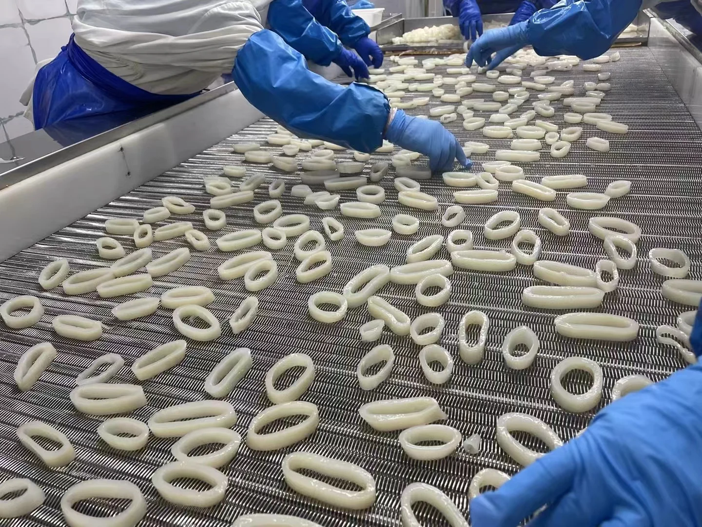 squid ring skin off Squid processing squid ring good quality without  skin