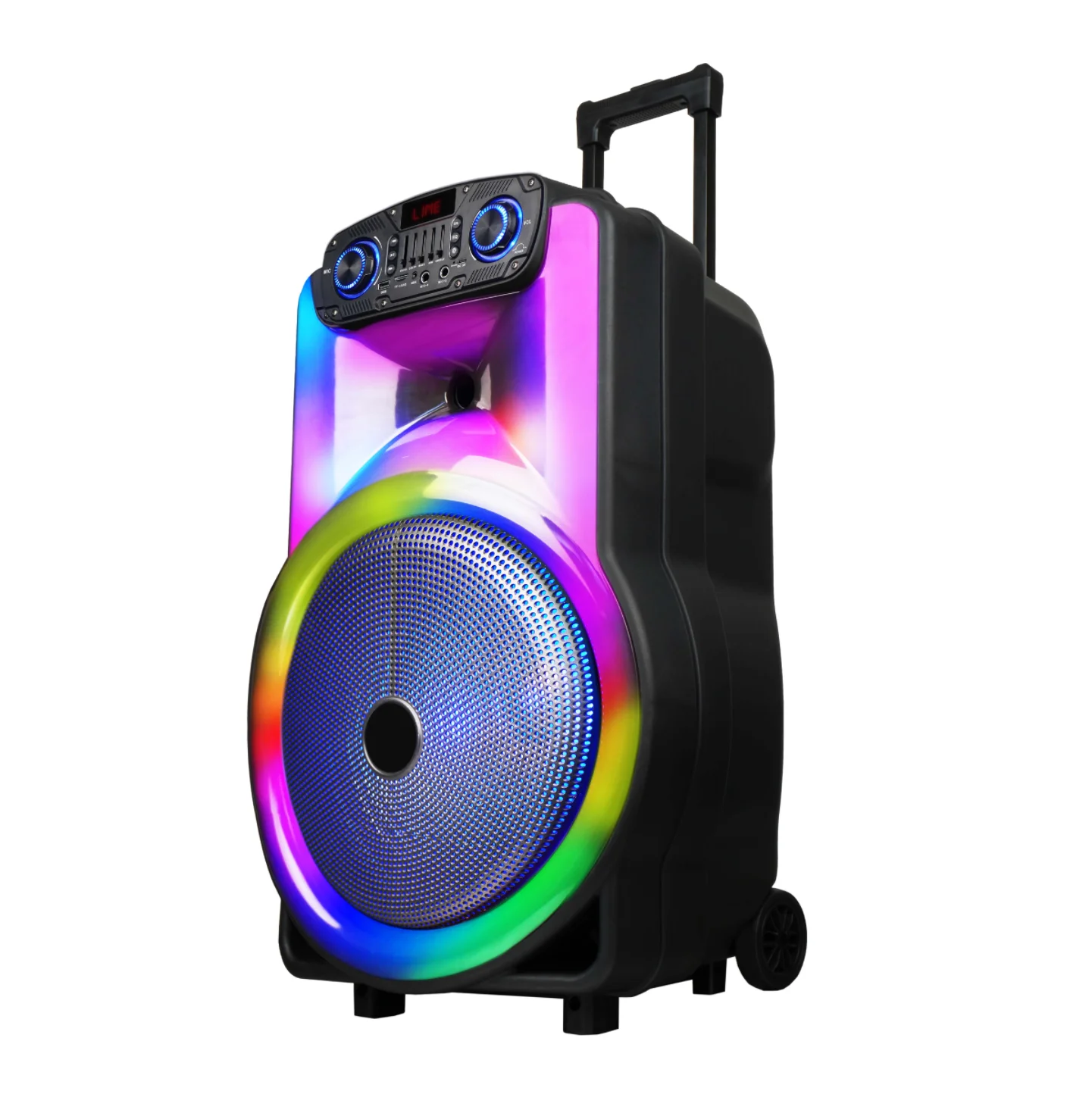 RGB Light 15 Inch Trolly Speaker 30W Subwoofer Karaoke Speaker With 2 MIC Wireless Party Speaker With Remote For Outdoor Actives