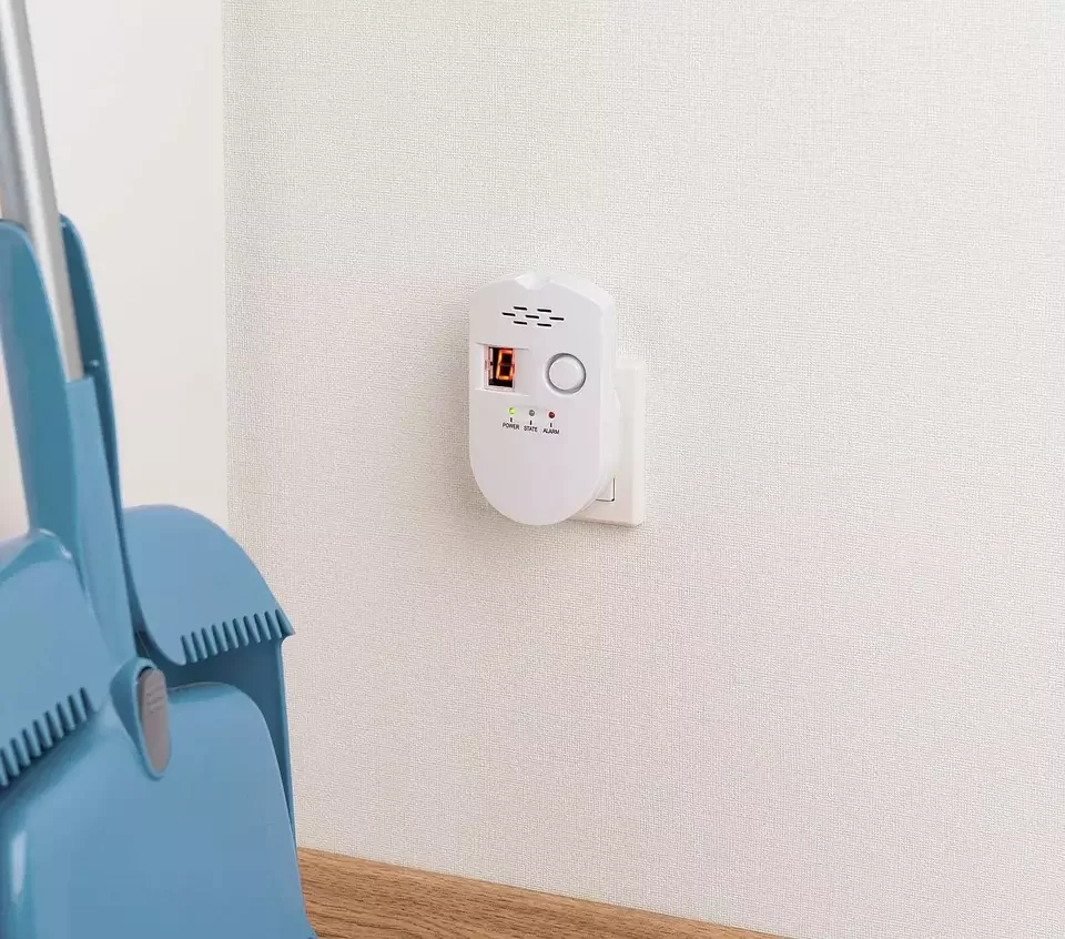 EN50194 Approval OEM Independent LPG Gas Alarm 100-240V/AC Home Gas Leak Detector