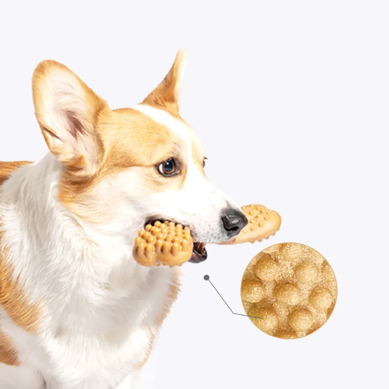 Durable Pet Dog Puppy Toothbrush Dog Dental Care Chew Bones Anti-anxiety Molar Toy