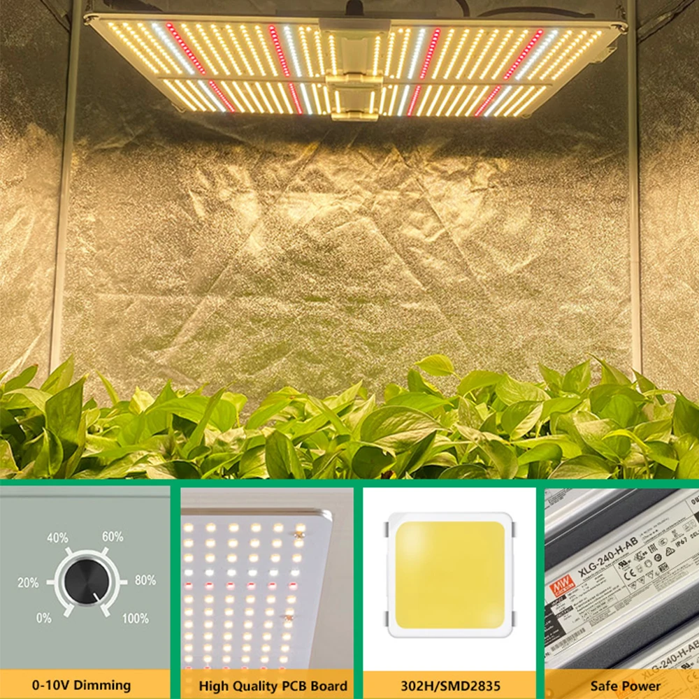 
Cretivity Customized Full Spectrum 240w LED Grow Lights Hydroponics Lighting 660nm Red Grow Light 