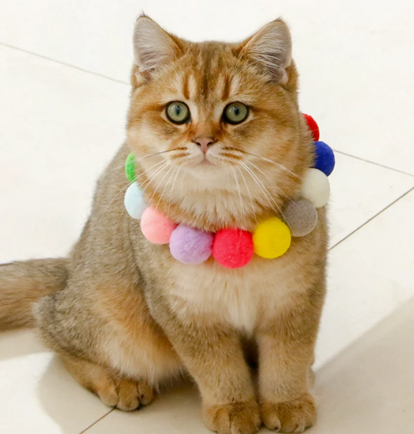 Cat Color Ball Collar Dog Hair Ball Collar Chain Birthday Jewelry Shiba Inu Corgi Collar Net Red Pet Photo