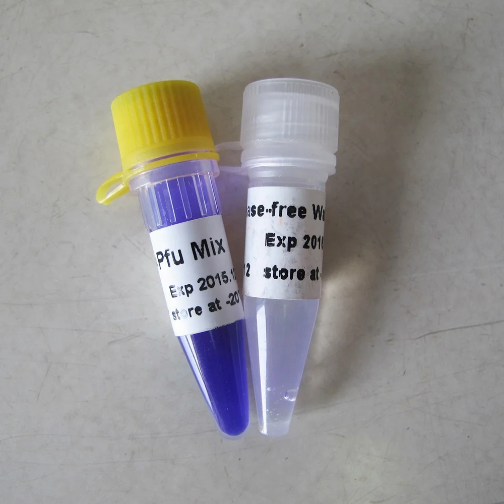  2x Pfu PCR Mix high