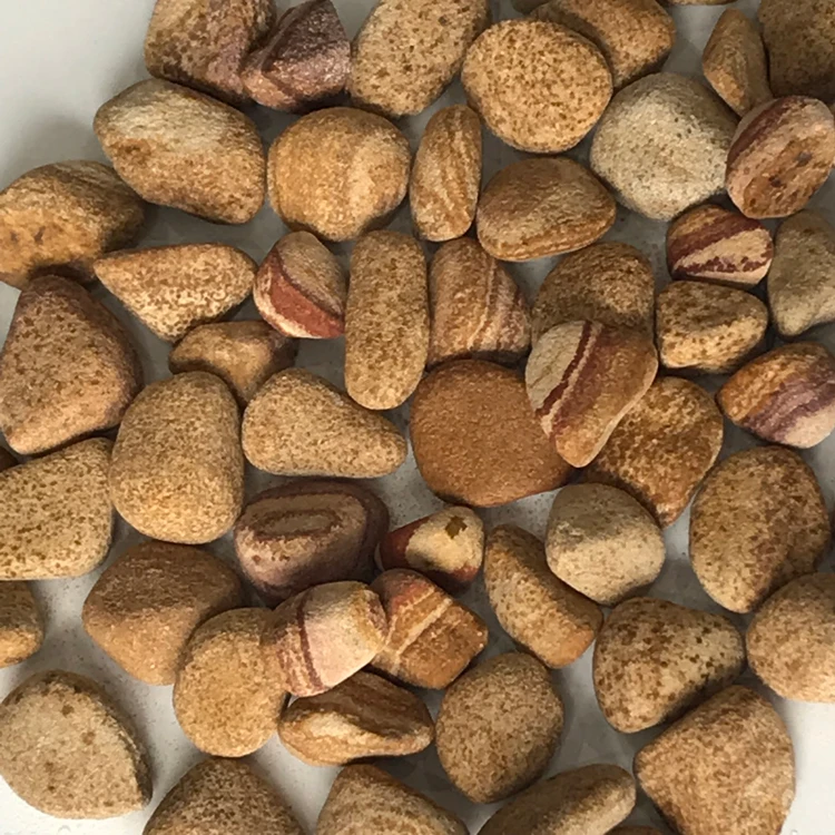 Hot Sale GS-021 Natural rolling decorative yellow wood grain color beans pebbles ball stone