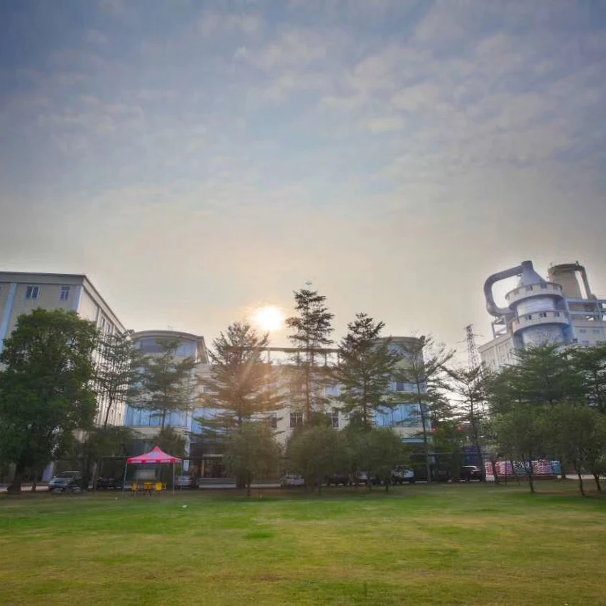 Laundry Detergent Factory in Guangdong Province