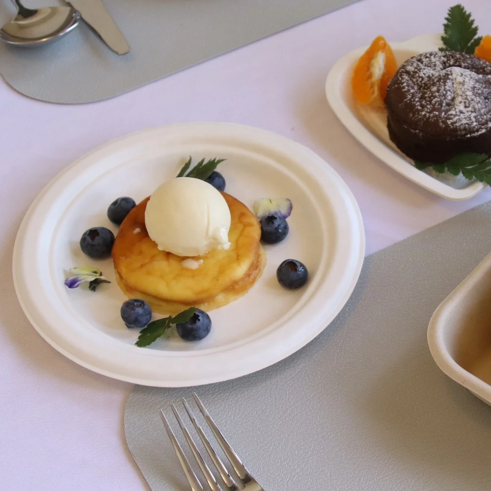 Dinner Plate Disposable Tableware Biodegradable Sugarcane Serving Plate Eco-friendly Bagasse Party 7 inch Round Paper Plate