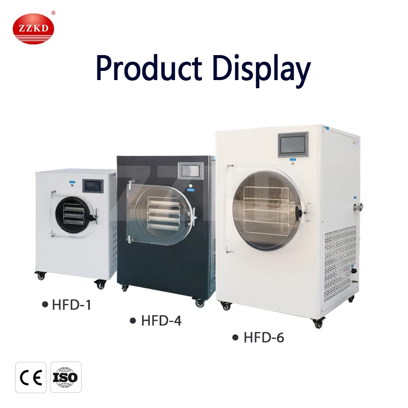 Mini Commercial Food and Vegetables Freeze Vacuum Drying/Dryer Machine