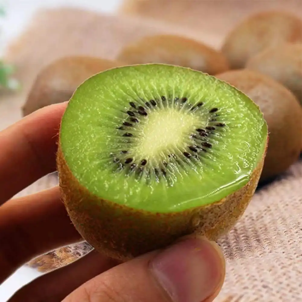 Fresh Kiwi Fruit Organic Green Kiwi High Dietary Fiber Chinese High Quality Fresh Fruit Kiwi