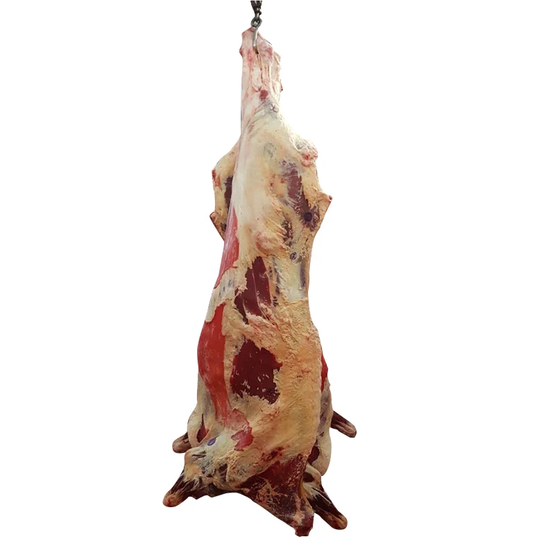 
Professional Manufacturer Half Carcasses Bull Tenderloin Frozen Beef Meat 
