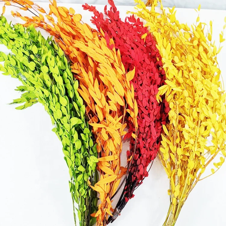 Summer Flora  hot sale new product long lasting Greenery Hanging Eucalyptus leaves preserved plants