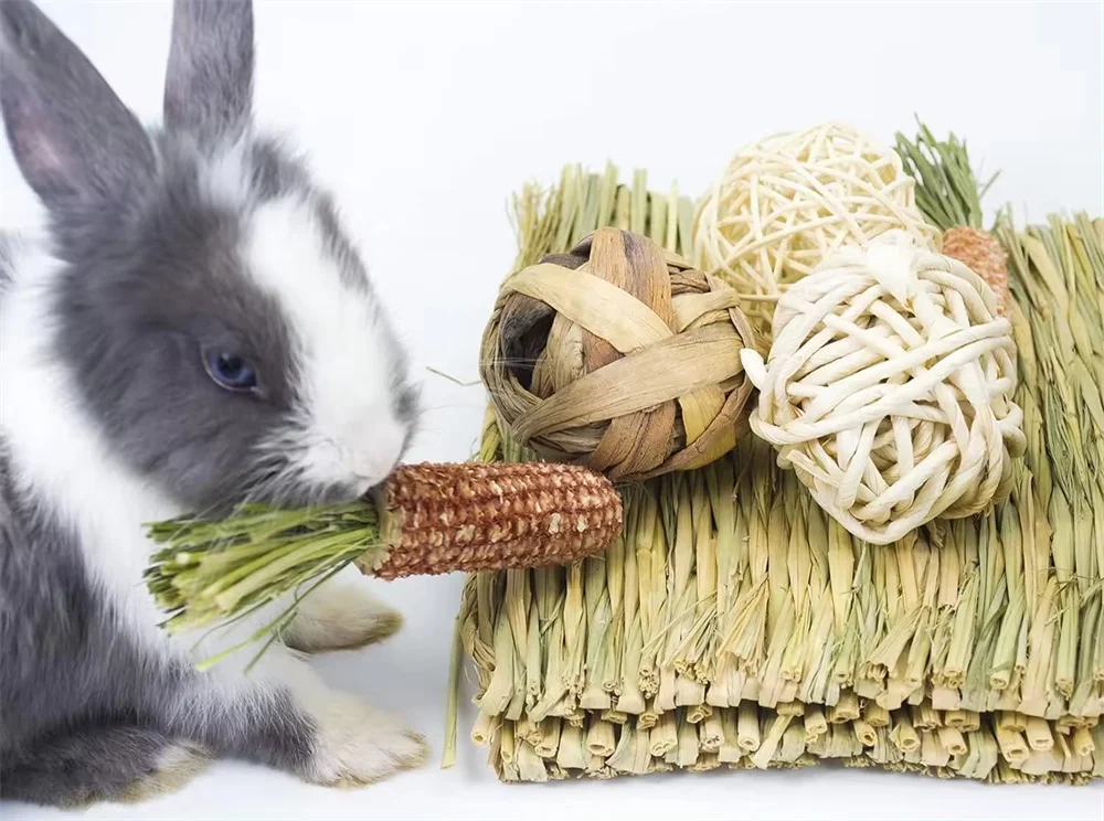 Rabbit Forage Mat Straw Pet Grass Mat Pad Placemat Hide And Seek Rabbit Chinchilla Guinea Pig Dutch Pig chew toys