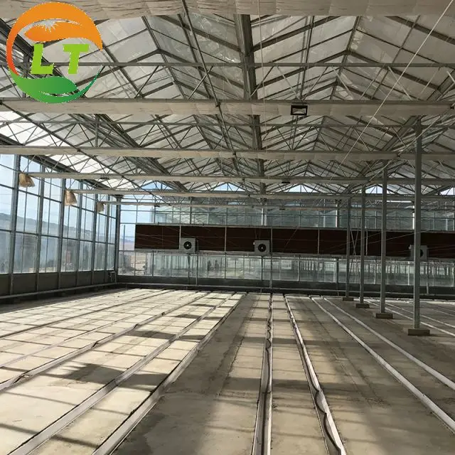 Galvanized skeleton good light transmittance heat preservation glass greenhouse for sale