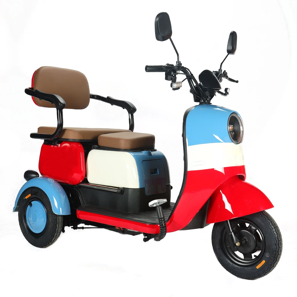 Factory Wholesale Adult Cargo E Tricycle Bike 650W Electric Ebike 3 Wheel Tricycle