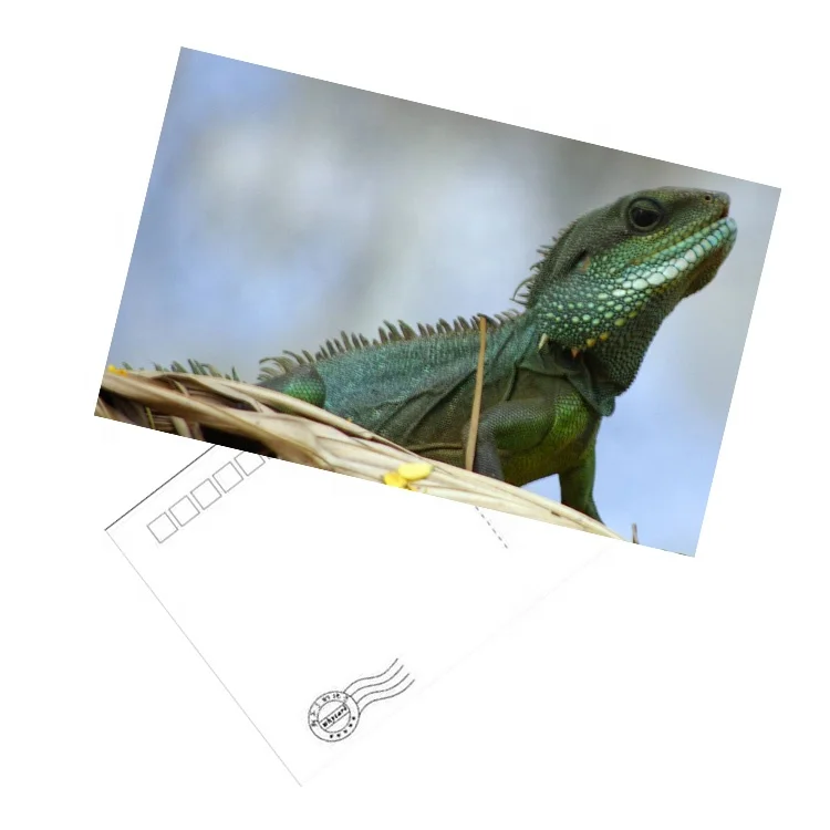 Individuality custom-made Travel gifts 3d postcard postcard book cardboard