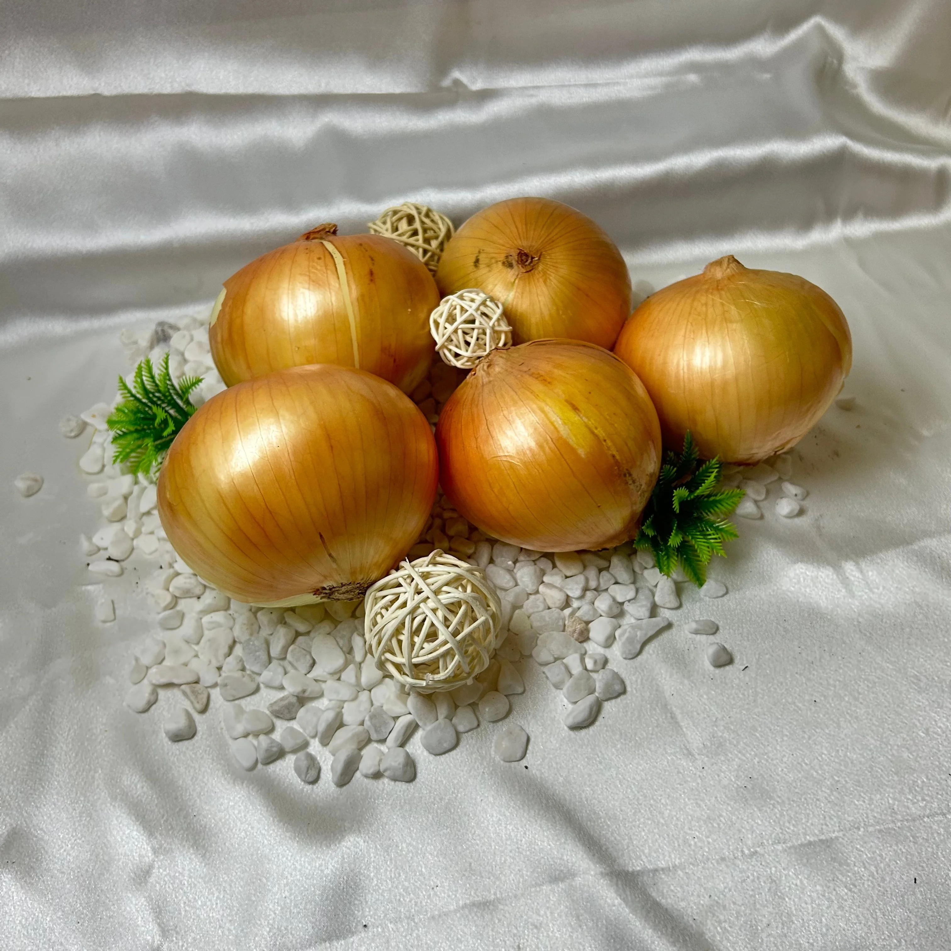 Buy High Quality Yellow Onion from China Best Wholesale Price Fresh Crop Yellow Onion