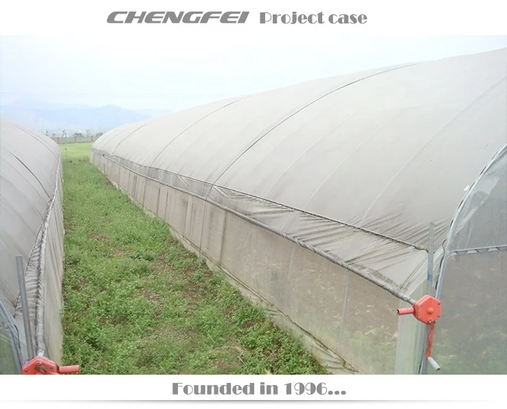 Commercial single span plastic film vegetable tomato strawberry flower price tunnel greenhouse for sale