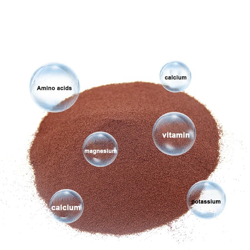 
Can hatch Brine shrimp egg Shell the eggs Bright red eggs Small fish Young fish mouth fish food 