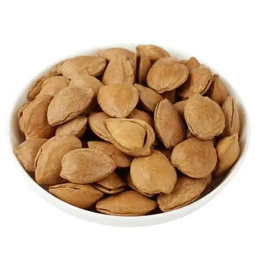 Apricot Kernels with Stone Removed Delicious Nuts for Snacking or Cooking