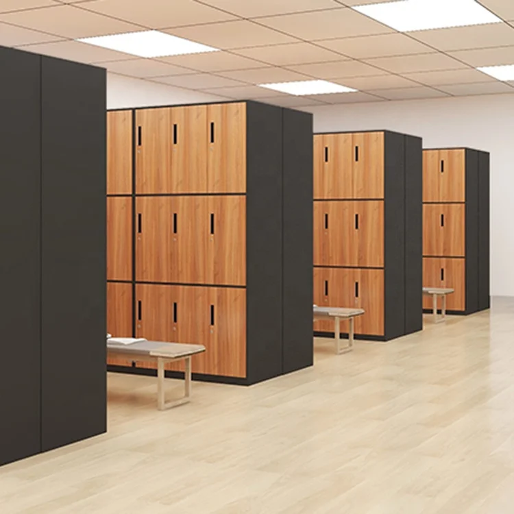 Electronic Smart mobile locker ISO certificate wooden hpl board fingerprint face recognition digital safety lockers