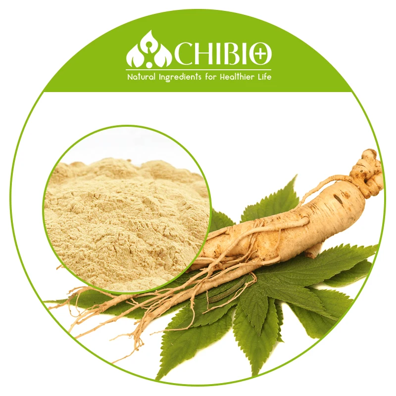 Высокое качество 10% Panax корень женьшеня гинзенозида экстракт азиатского цена