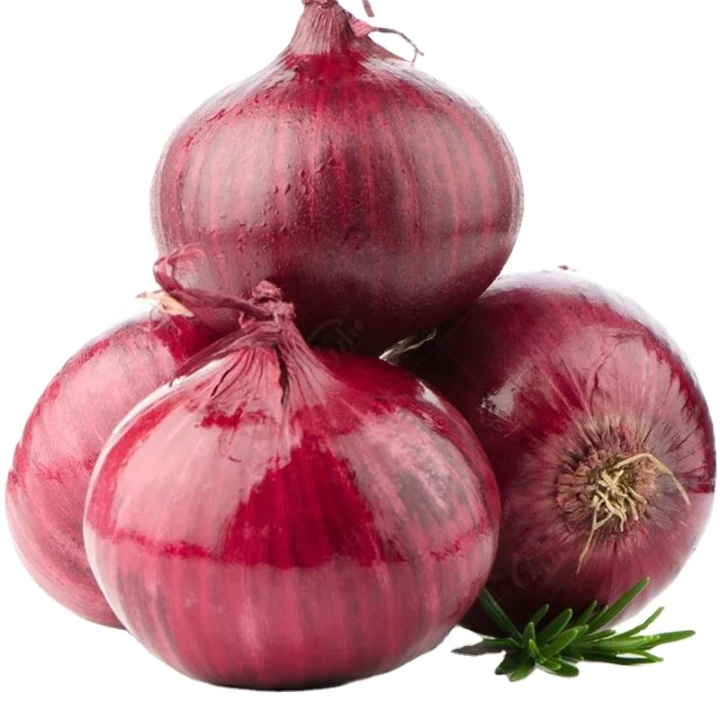 2024 fresh crop onion hybrid seed red yellow 10kg 20kg fresh onion for export