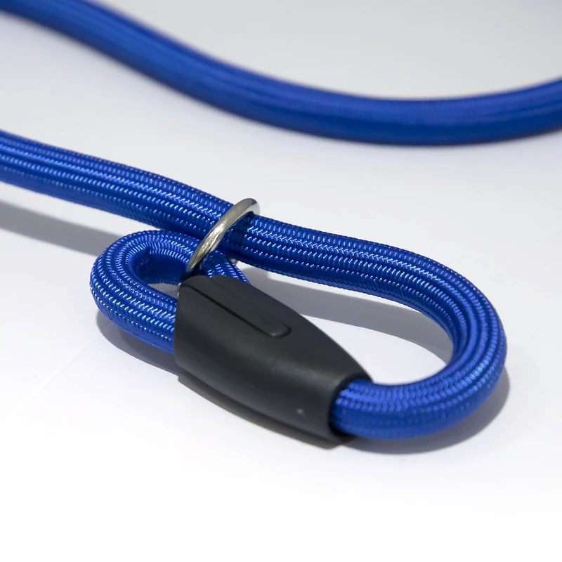 Waterproof British-style Slip Lead Rope Dog Leash No Pull Training Rope Lead Leashes