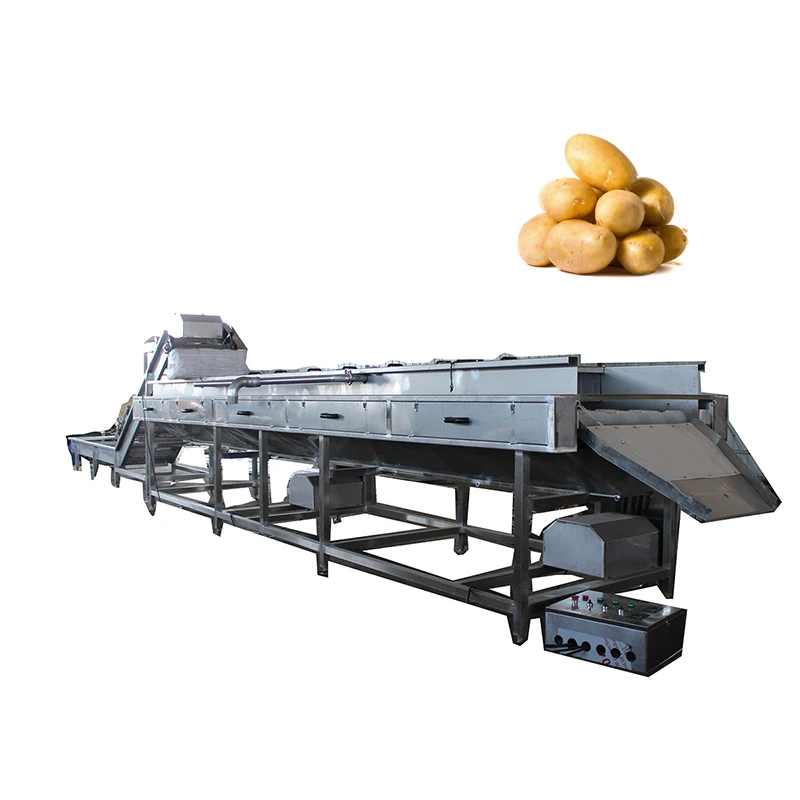 Commercial Brush Cleaning Machine Carrot Washing Machine Carrot Washer