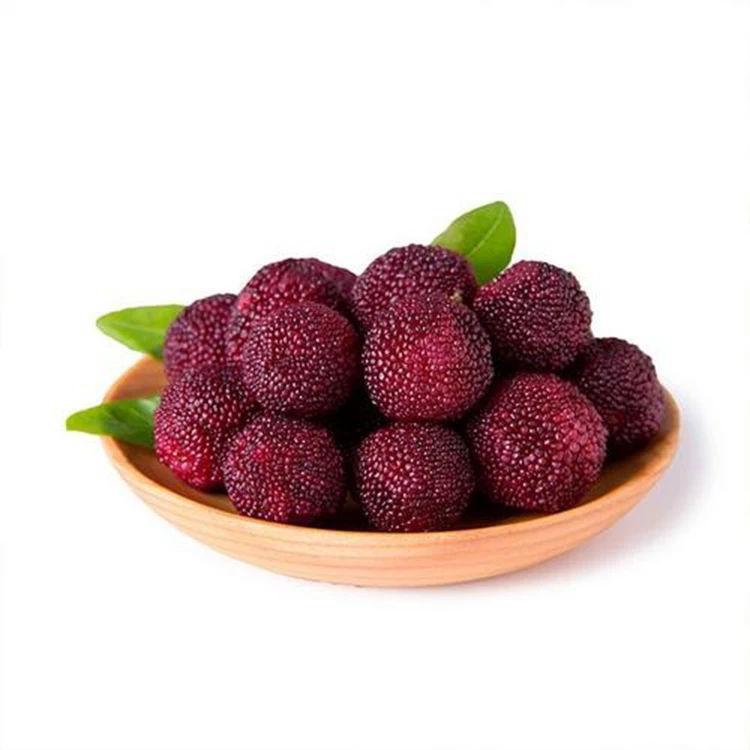 Factory Direct Wholesale Fruit Chinese Fresh Red Waxberry Bayberry