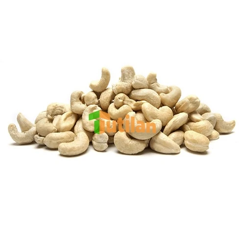 Wholesale Vietnamese High Quality Raw Cashew Nuts With Best Price And All Size Raw Cashew Nuts