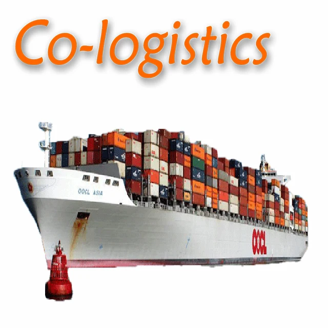 Sea Freight Services:FCL Door to Port Transportation from China to The United Arab Emirates with Cheap Price