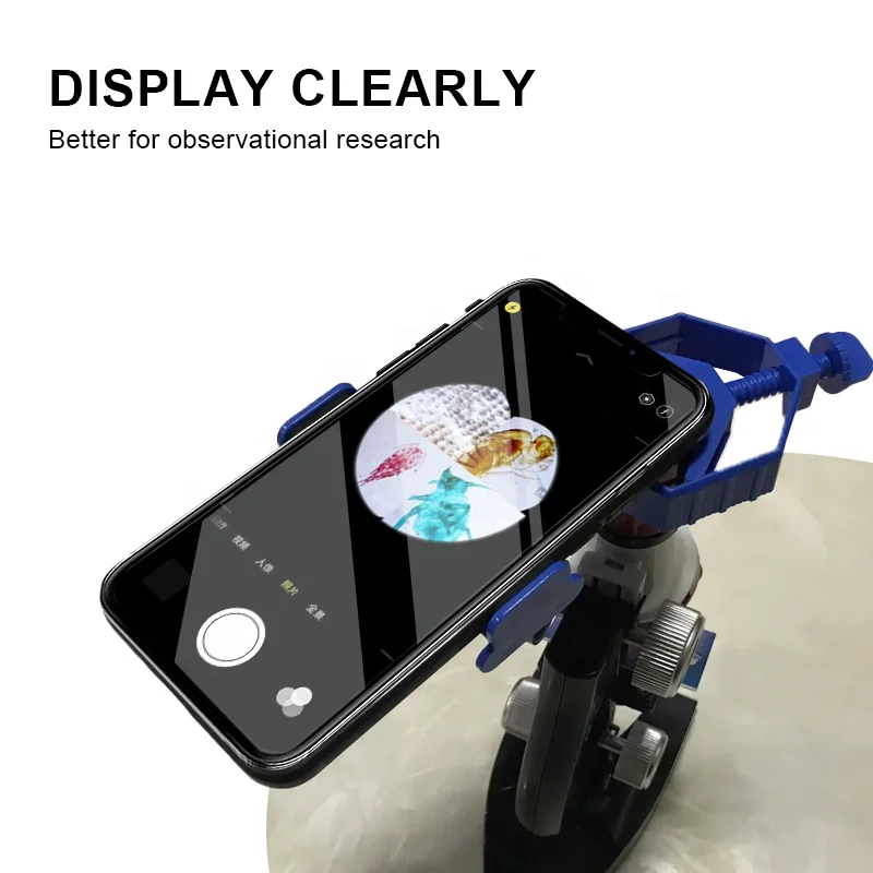 Factory Prepared Microscope Slides Educational Equipment Development Series Embryo Biology Prepared Microscope Slides