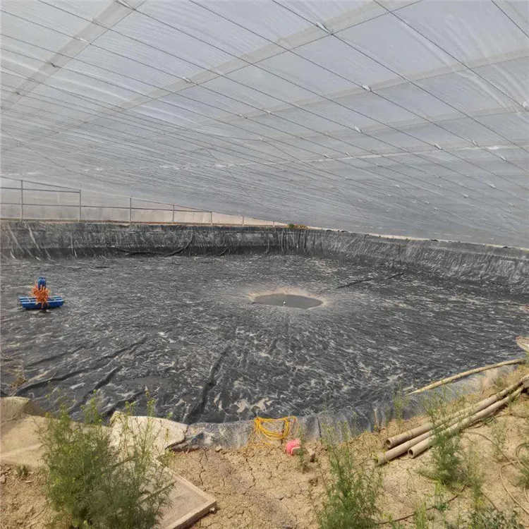 HDPE Geomembrane Aquaculture Pond Liner