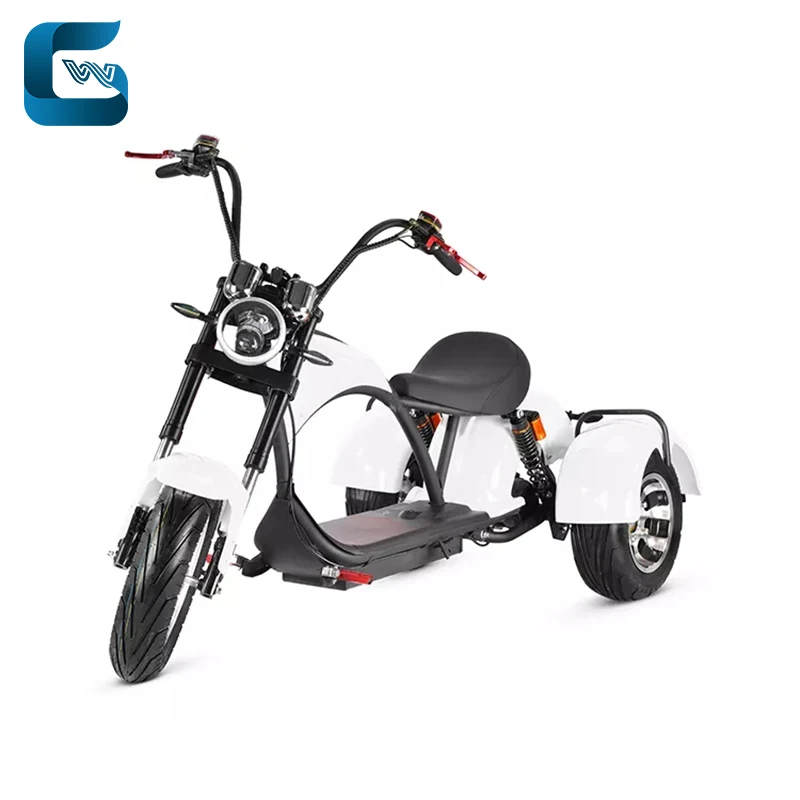 Electric scooter export trike motorcycle 2000w 60v 40ah electric three wheels