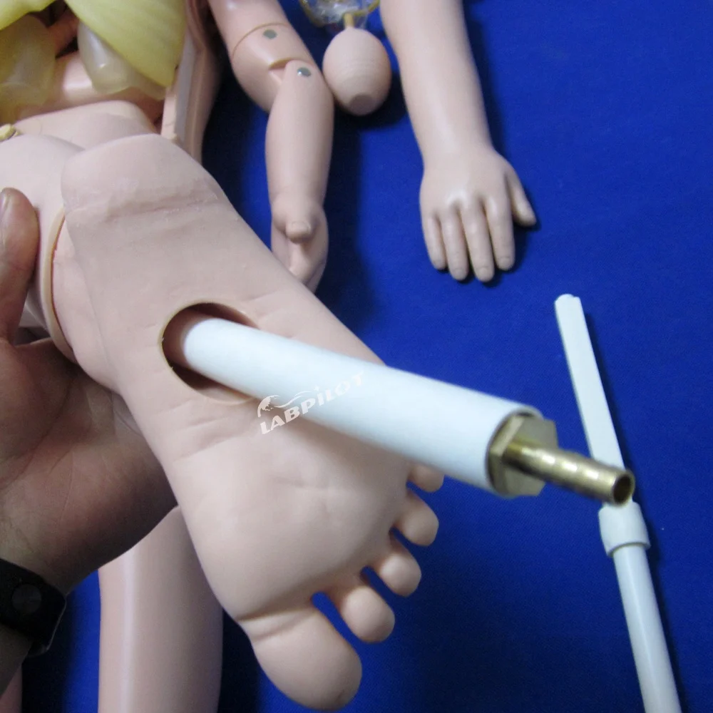 Multi-functional Three Years Old Children Nursing Care Training Manikin Anatomical Model of Paediatrics