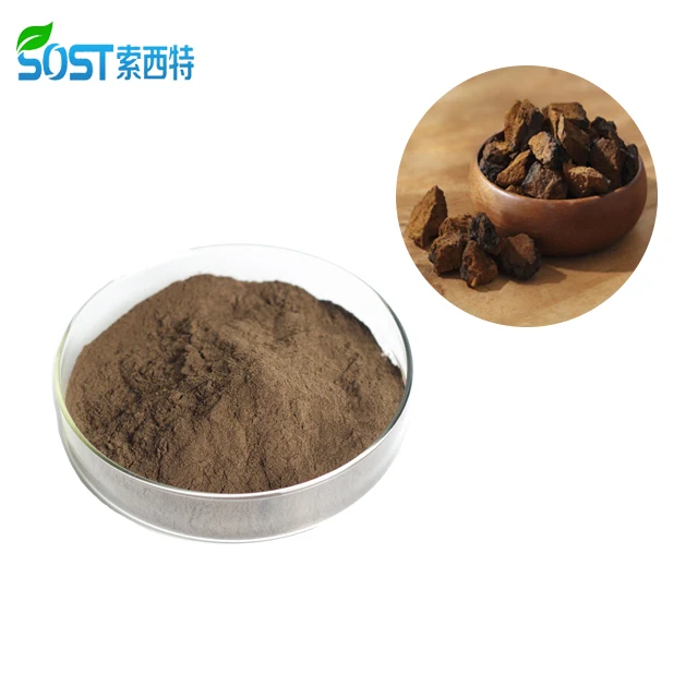 
100% Natural Siberian Wild Chaga Mushroom Extract Polysaccharides 