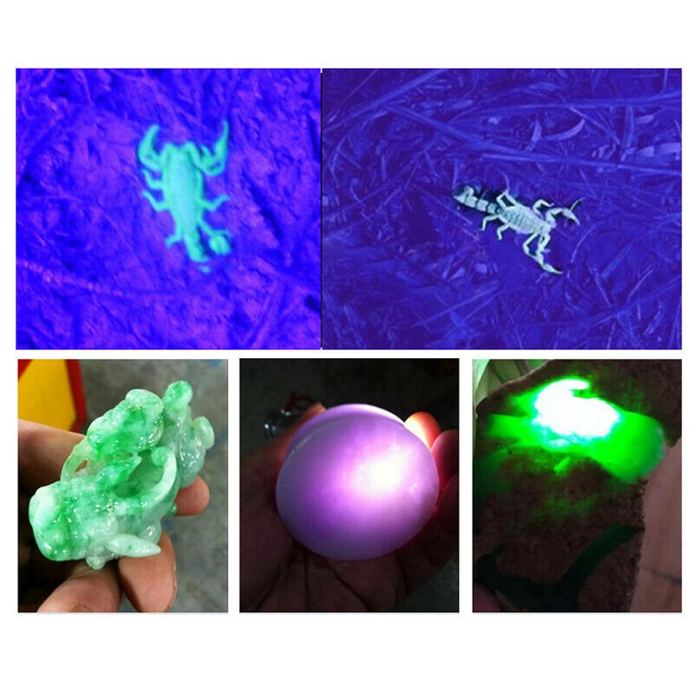 Currency Detector UV flashlight 12LED mini size Ultraviolet flashlights torches 395nm find scorpion Urine & Bodily flashlights