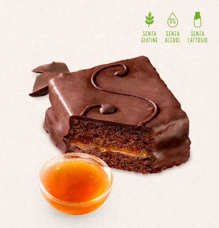 110 g Organic Sacher Chocolate Cake Dessert Frozen Ready to eat Vegan Giuseppe Verdi Selection Made in Italy