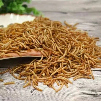 Dried mealworms with high nutrition top grade fish food