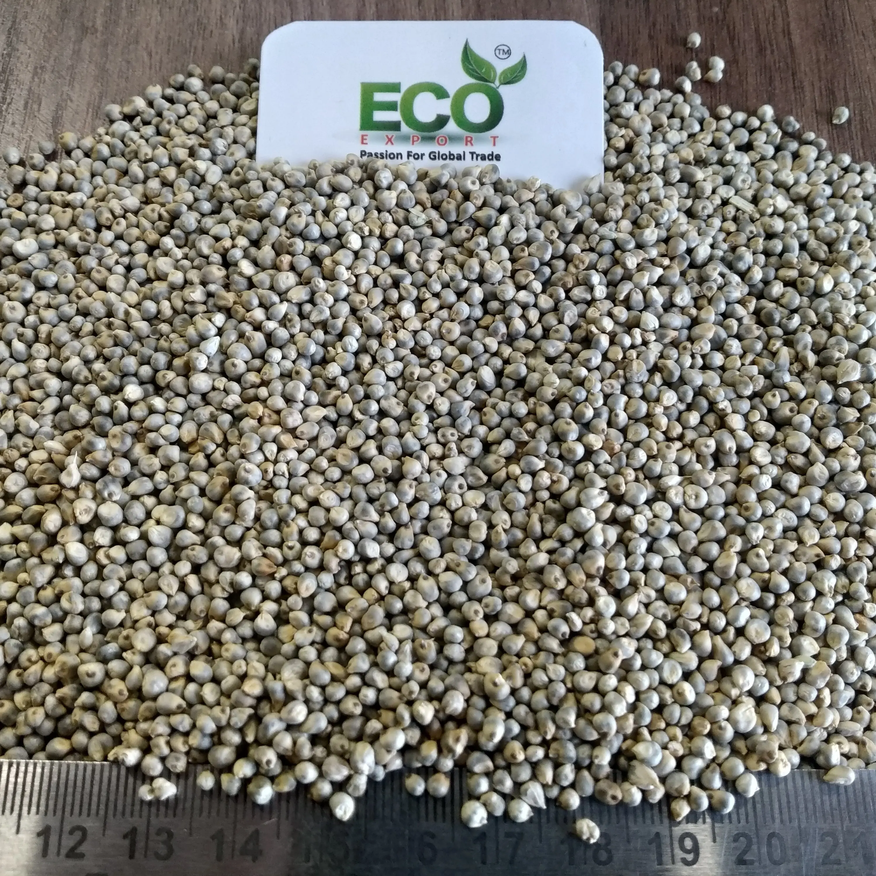 Factory Supply Indian Millet Seeds Low-Priced Feed Grade Grain for Animal Pig Cattle Horse Food Use Protein Rich Packaged Bags